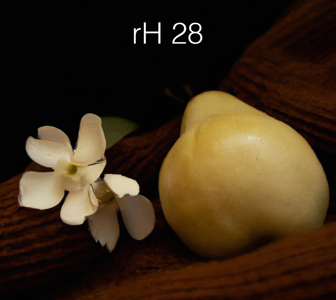 RH28